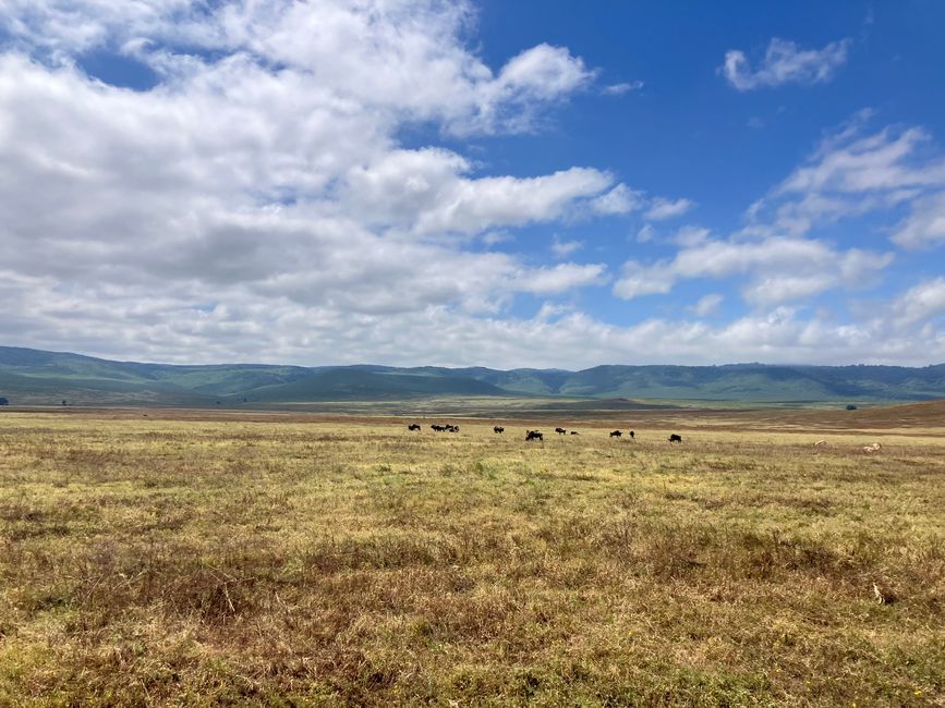Il Cratere di Ngorongoro