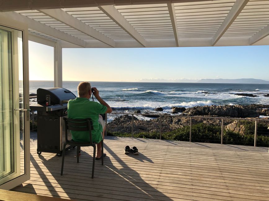 Whale Watching von der Terrasse aus