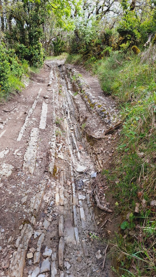 Presque de l'escalade