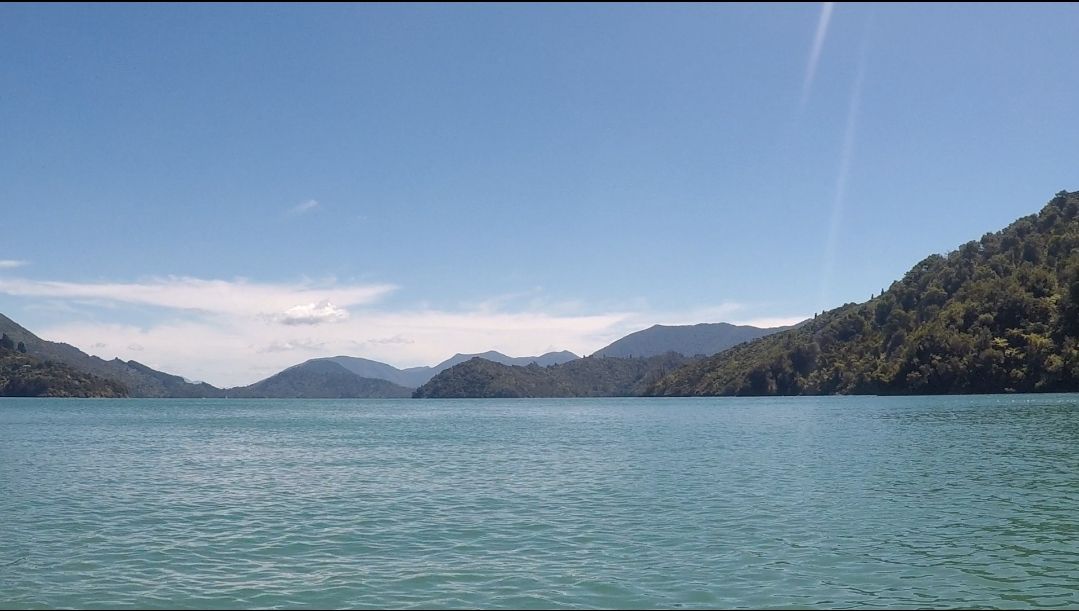 从皮划艇看肯尼普鲁海峡