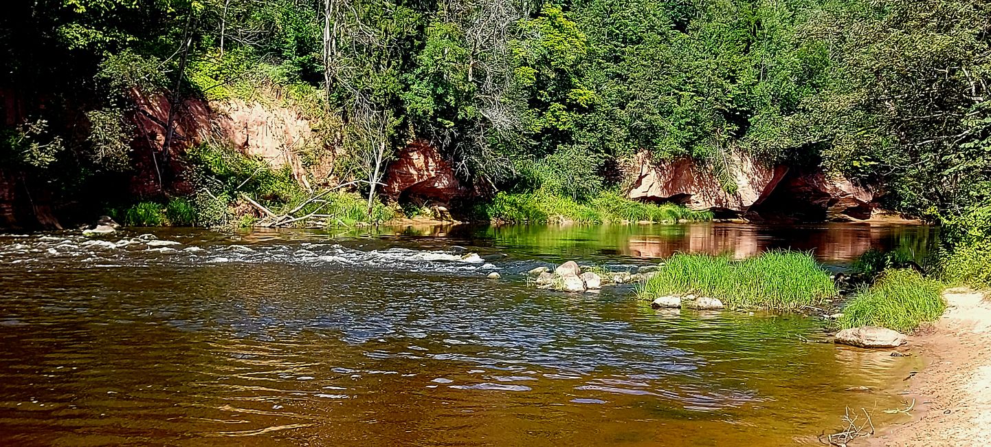 Paddeln auf der Gauja