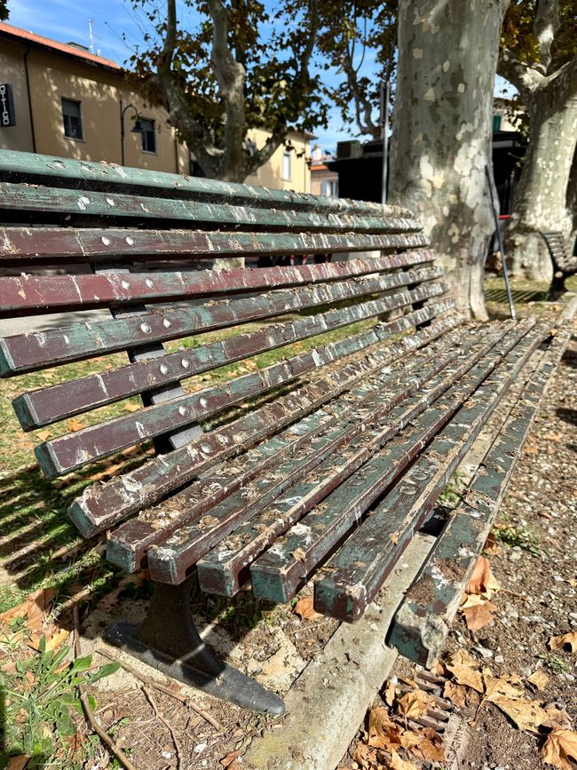 Die Lieblingsbank der Vögel im Park.