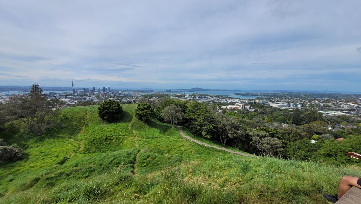 Thank the Maoris - We can visit Auckland