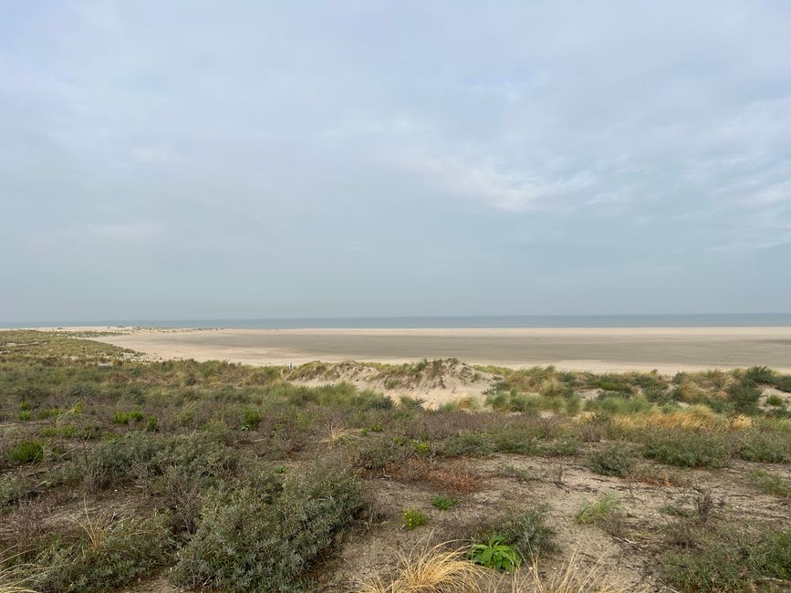 Etiqueta 6: Schevingen - Middelburg