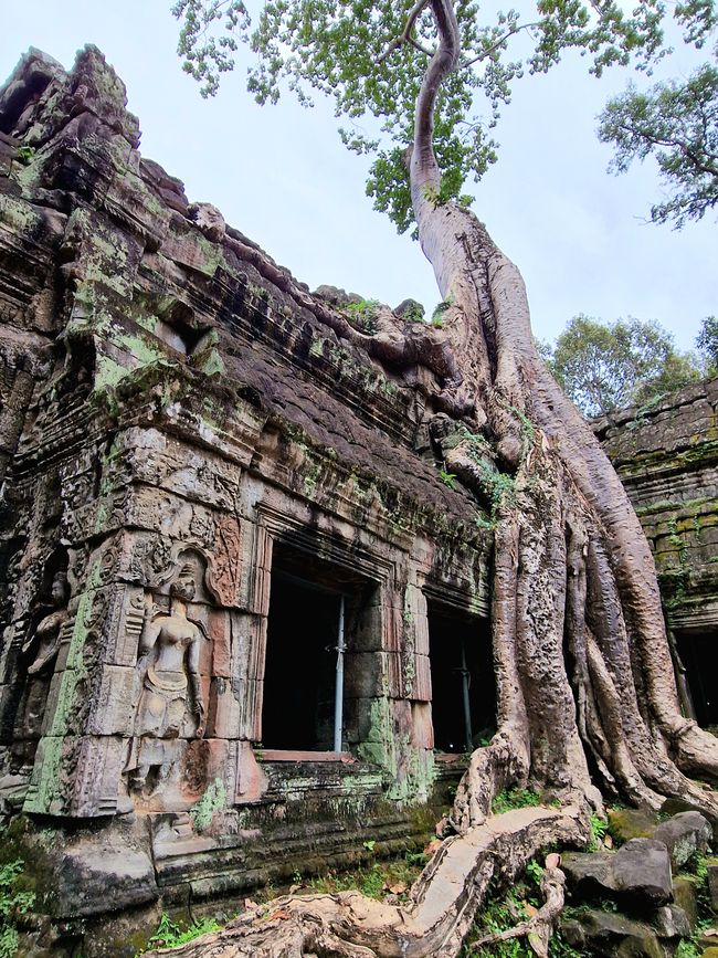 Baphuon und Ta Phrom - Himmelsleiter und himmlischer Ort