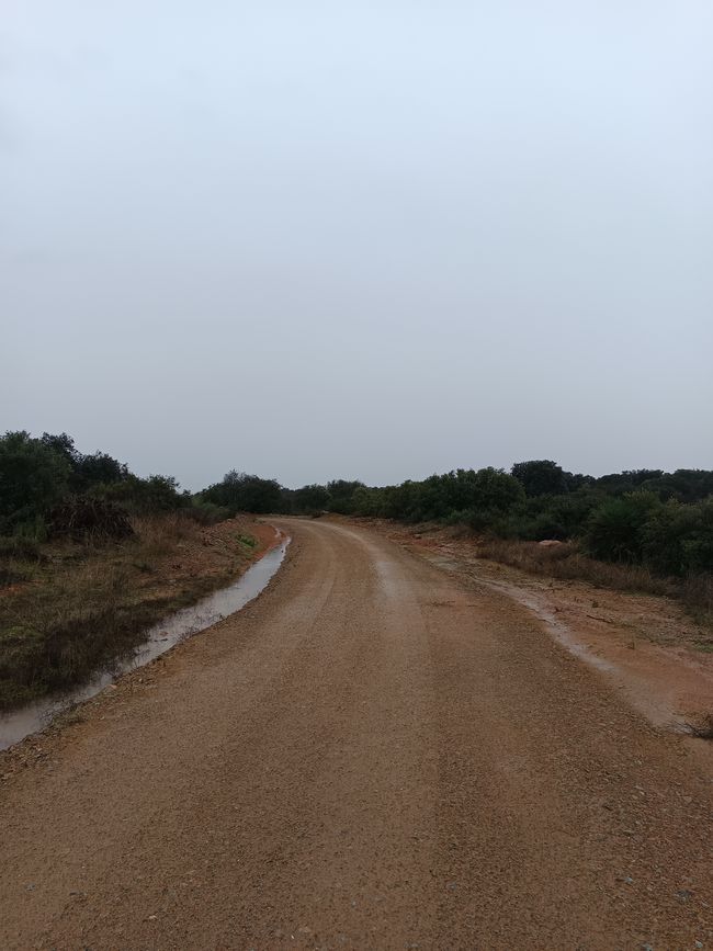 El largo camino