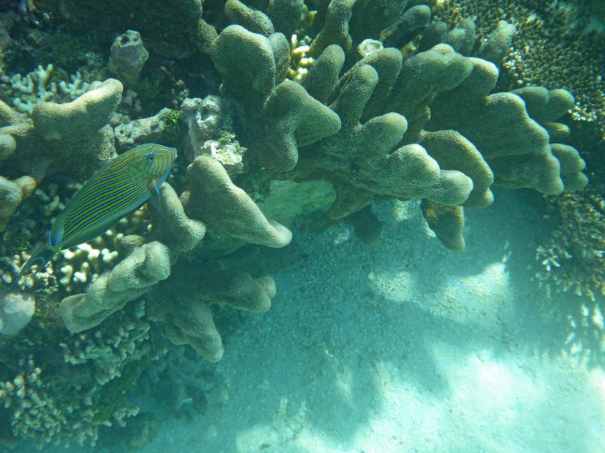 Waiag, Raja Ampat, Indonesia
