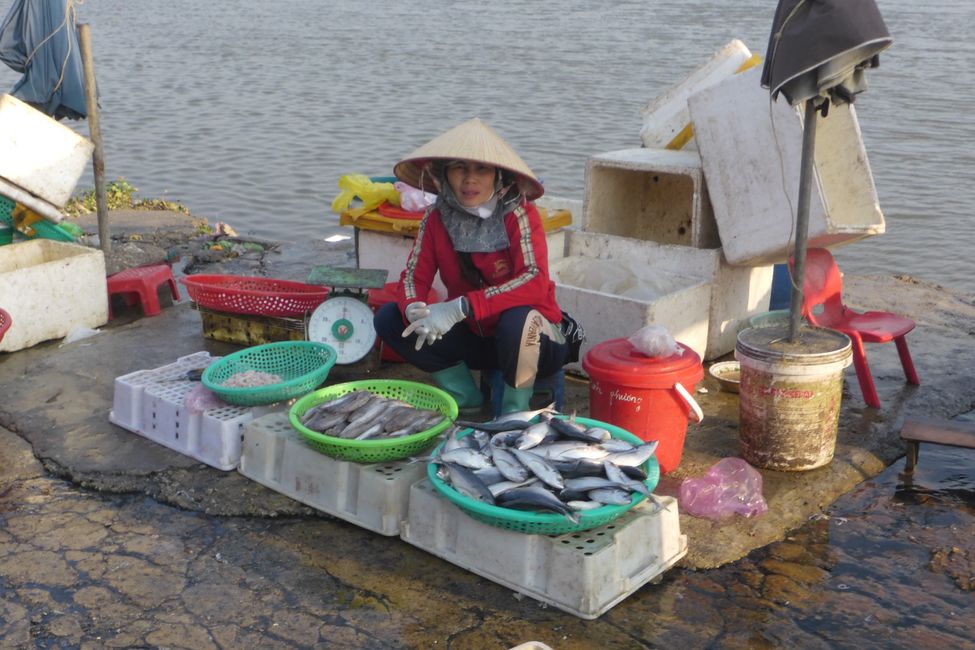 Poissons de tailles différentes