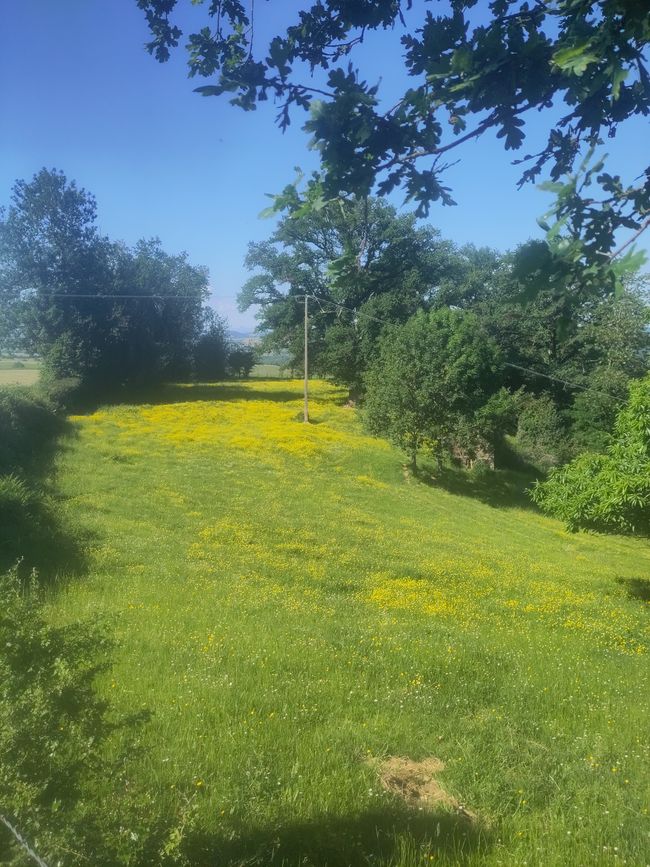 durch den Naturpark Quercy bis Conques in den Waldbergen der Auvergne