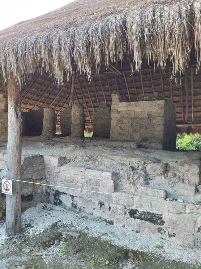 Día 29 de 175: Crucero alrededor del mundo - Cozumel/México