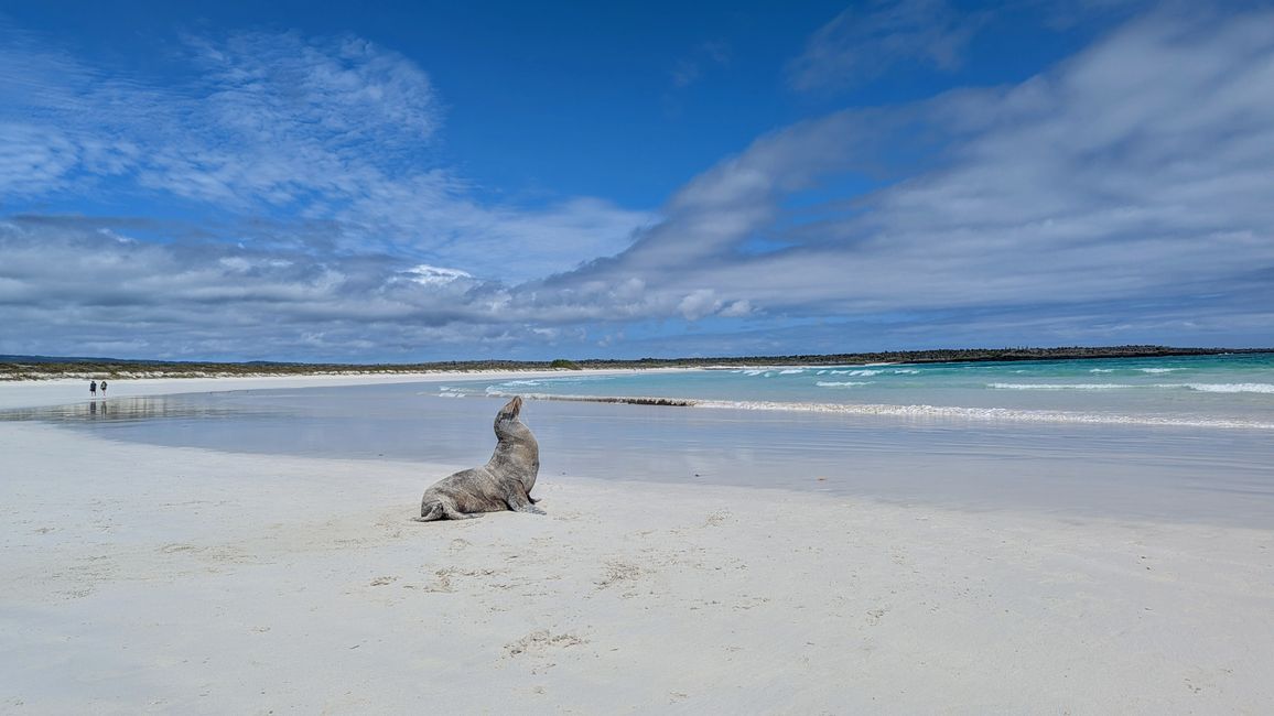 Traumstrand 