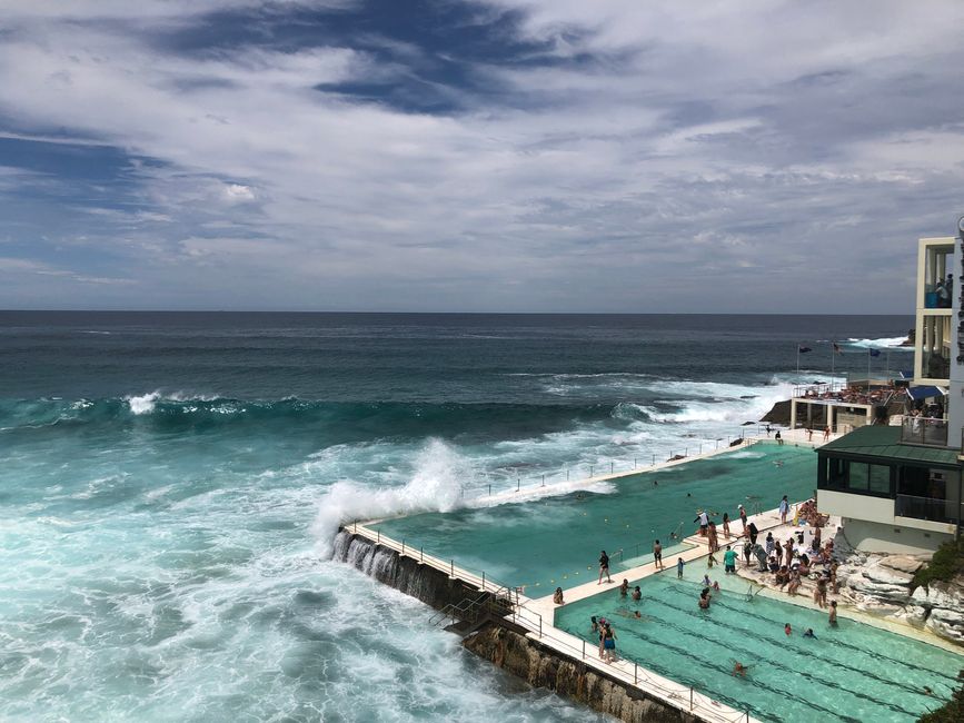 Gli Icebergs di Bondi ...