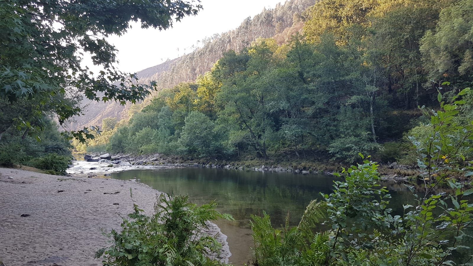 Small beach by the river
