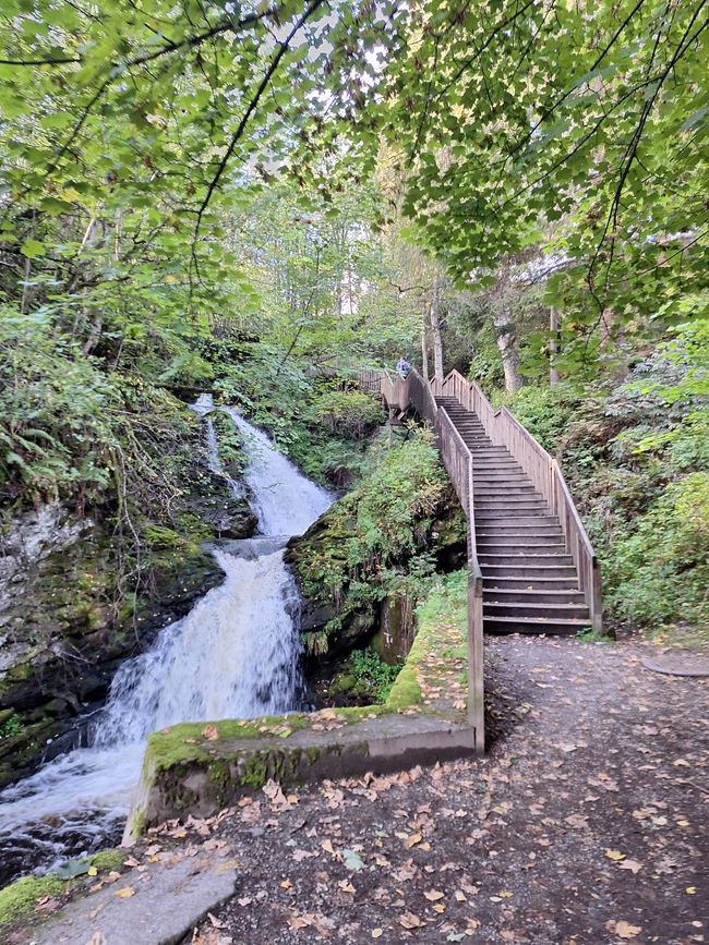 Tag 9 Trondheim