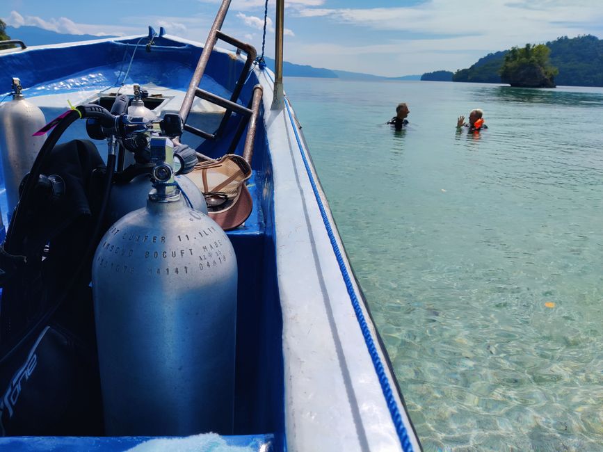 Travis ai Triton Bay Divers: Squali e altro