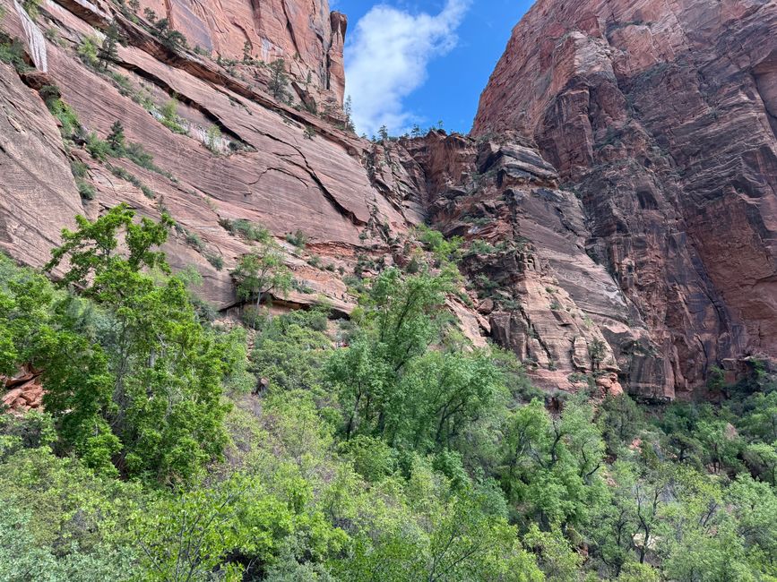 Der Weg hinauf zum Refrigerator Canyon