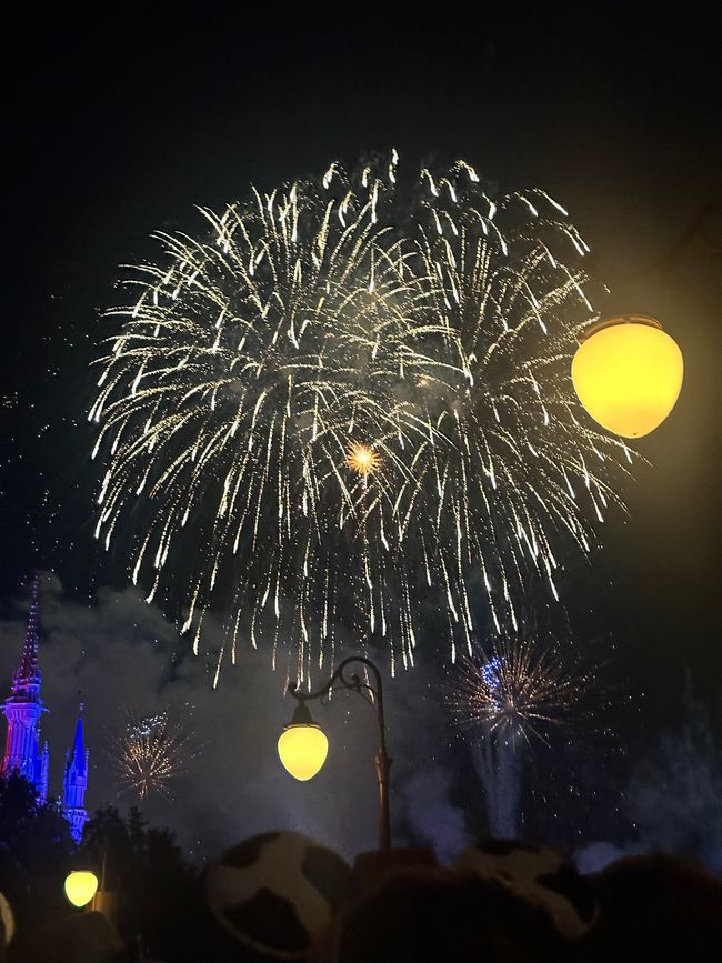 Disneyworld – Magisches Königreich