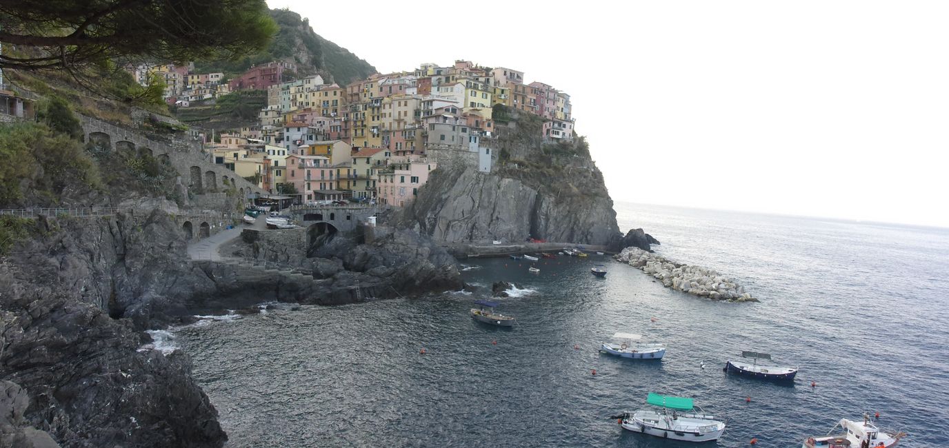 Manarola desde arriba 