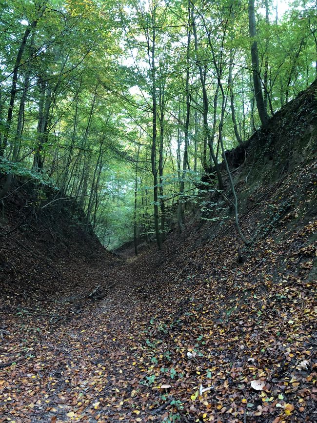 Der Weg war etwas beschwerlich