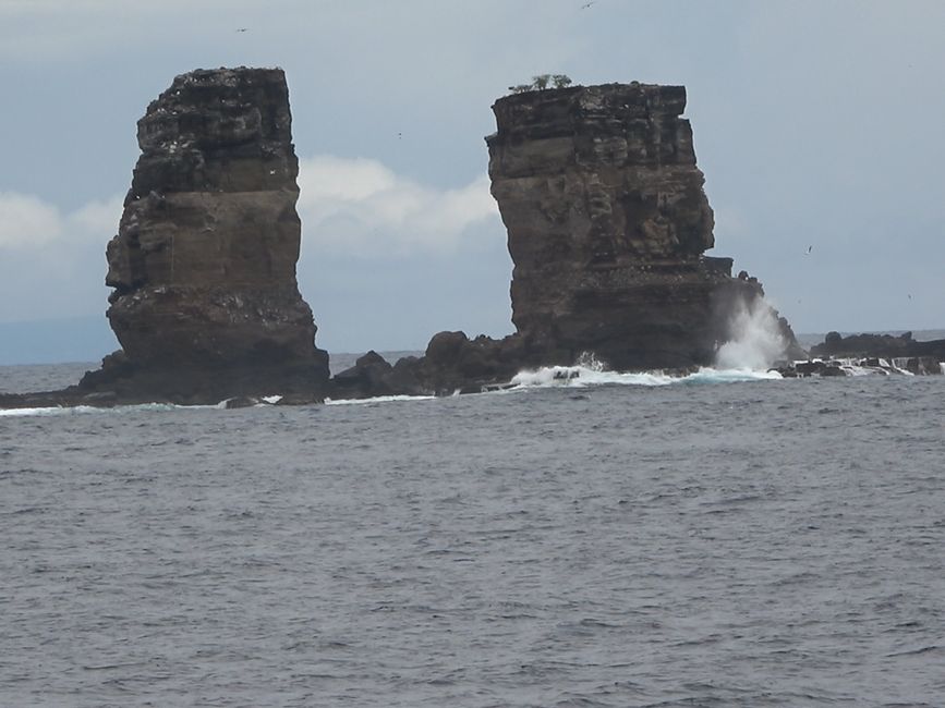Tauchen in Galapagos Teil 2