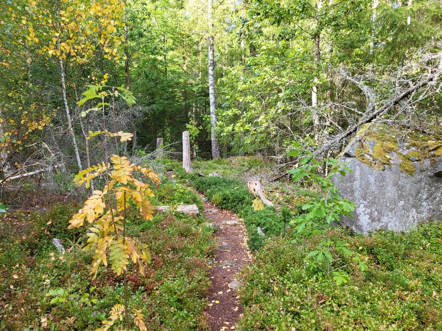 Randonnée Trollberget - Parc national d'Åsnen 