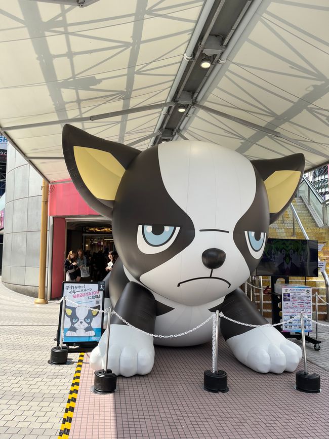 Shibuya