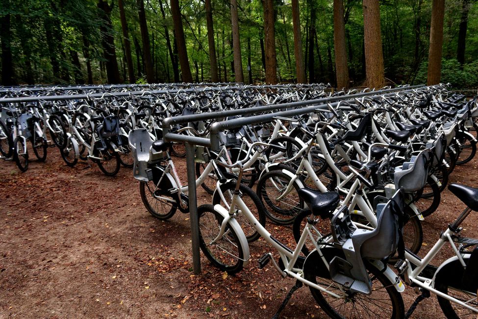 Velos für die Garatis-Fahrt zum Museum