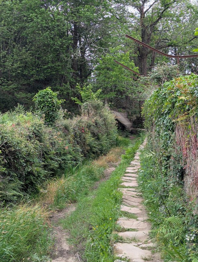 Bilanz auf der Passstraße (Camino Portugues 5)