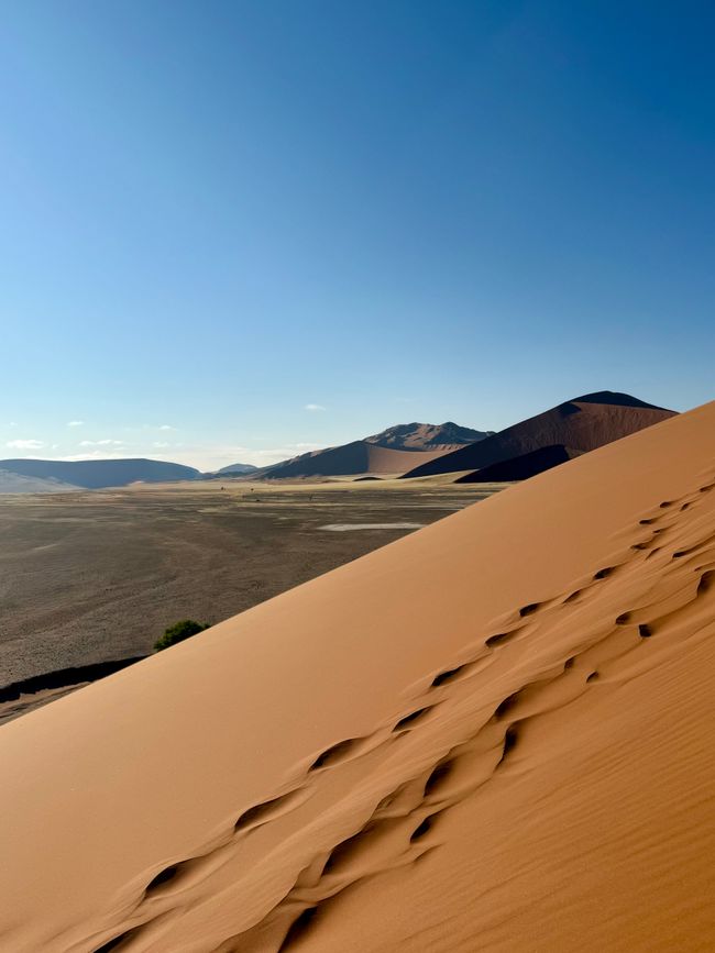 Namibia 2k25 🦓🏜️🐘
