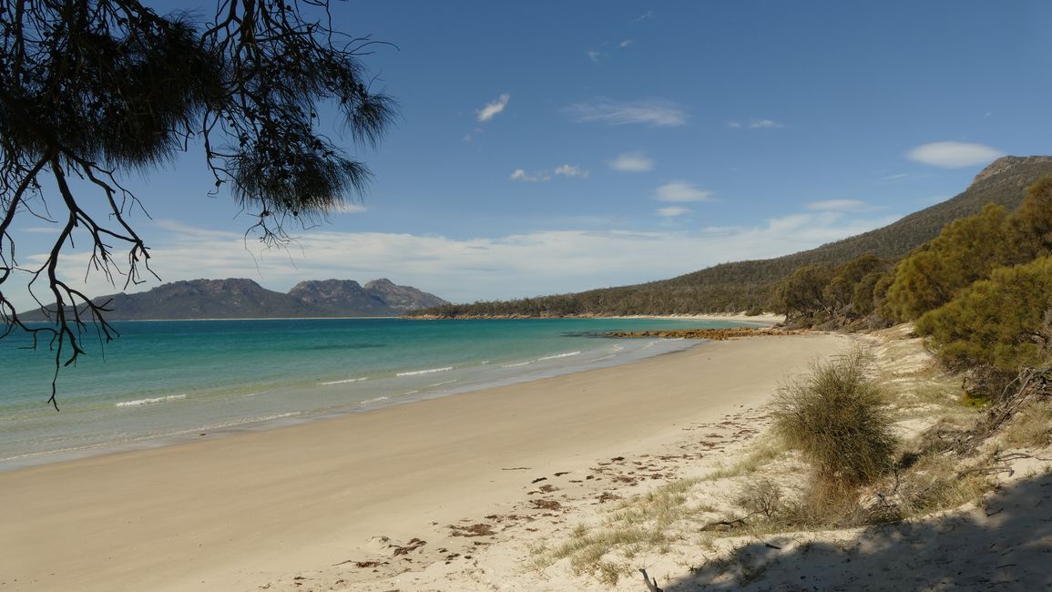 - Singapur & Tasmania 2019 -