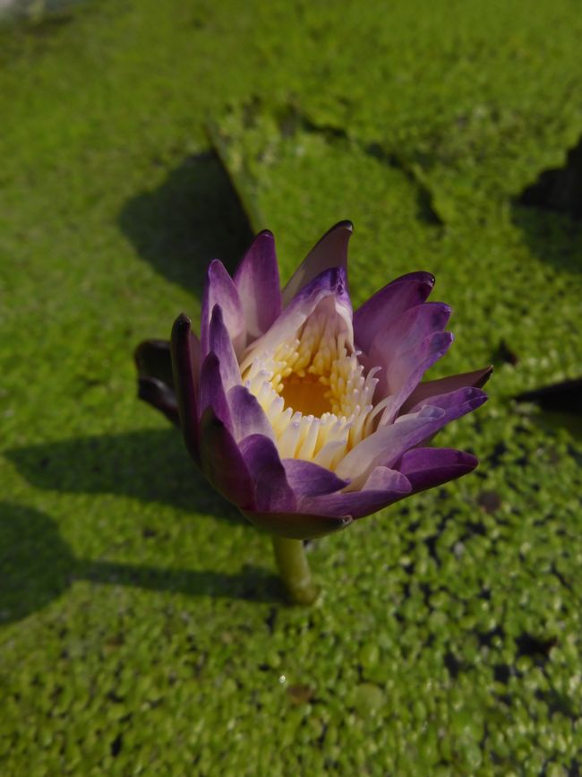 2025-01-05 Vietnam, Ninh Binh