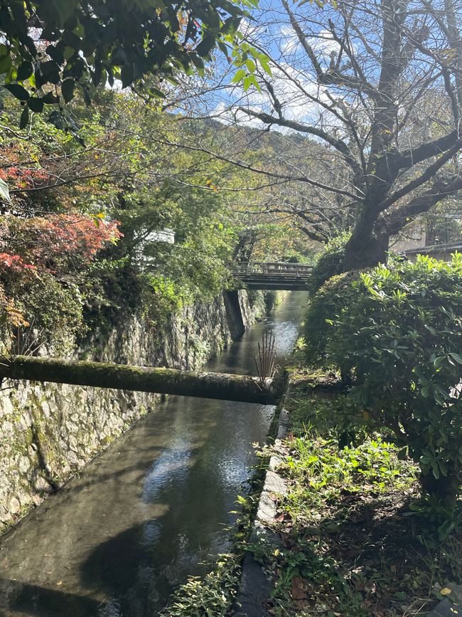 2.Kapitel: Nix Jetlag, oder „A temple a day keeps the doctor away“, man kann sich aber auch auf den Philosophenpfad begeben