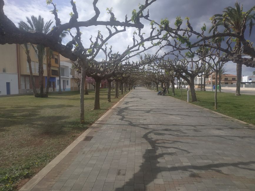 Fotos de Torrenostra (Torreblanca, Castellón) (Semana Santa 2024)