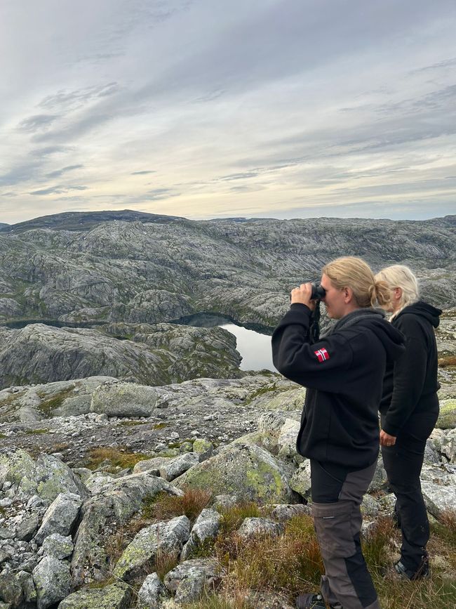 Etiqueta 11 - Bakka en Næroyfjorden sobre Vossevangen y Viking Valley en Gudvangen