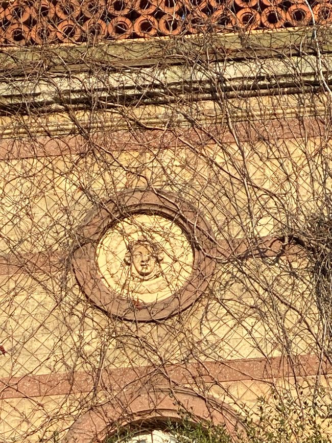 Schade, dass dieses Bildnis zugewuchert ist