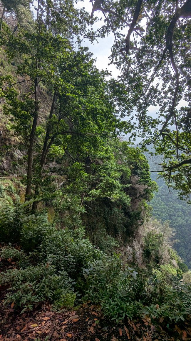 Tag 13: Levada da Ribeira da Janela & Nordwestküste
