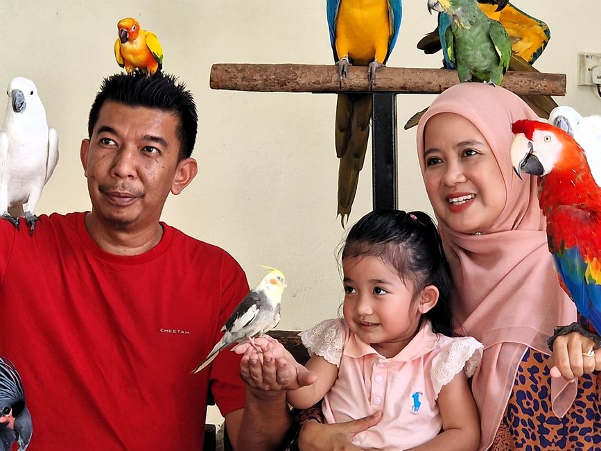 Bird Park