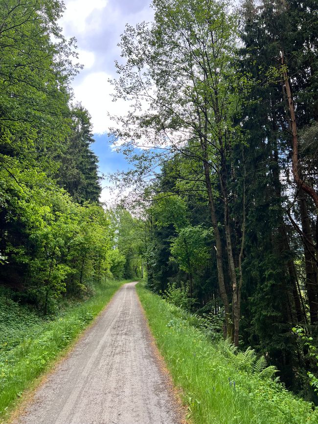 38 to Straubing