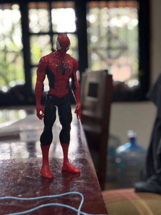 Das Wohnzimmer im neuen Haus