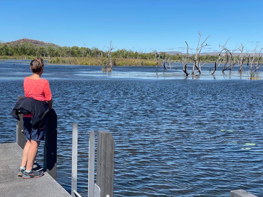 À la lagune de Kununurra
