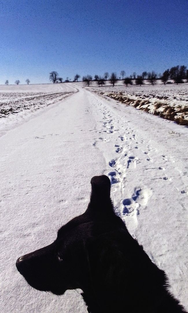 Reset - Neve di ieri, o quale fondamento vuoi costruire?