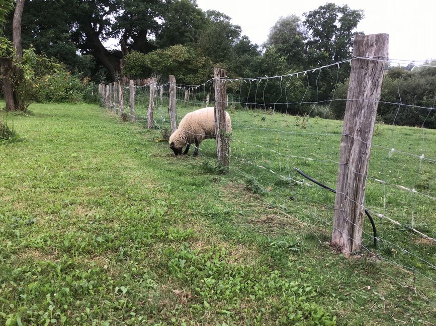 Friedland, wo alles so friedlich ist