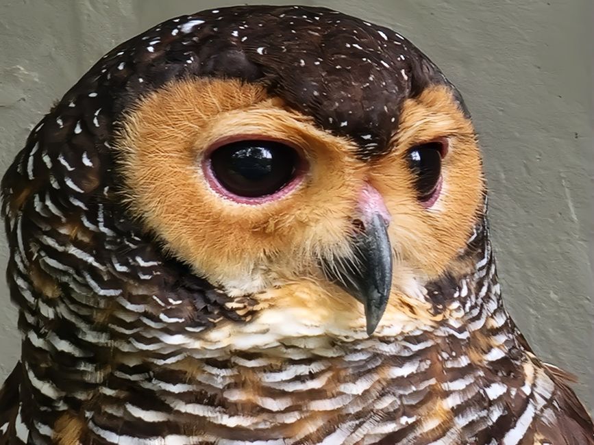 Bird Park