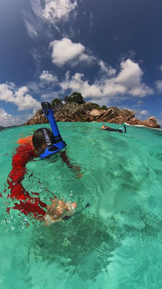 Seychelles - Giorno 13: Isola delle Tartarughe, ultimo snorkeling e viaggio di ritorno