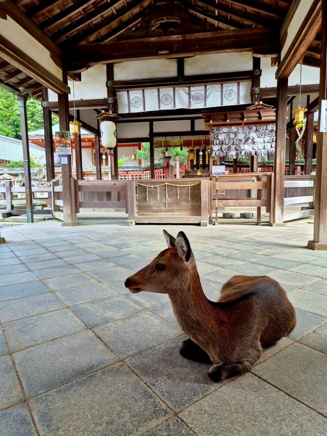 Nara