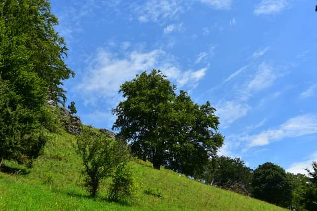 * * * Wacholderhain und Felsgesicht: eine Wanderung in der wilden Schönheit des Lochenpasses * * *