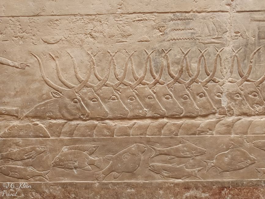 Sakkara, Memphis, Kairo
Tag 3