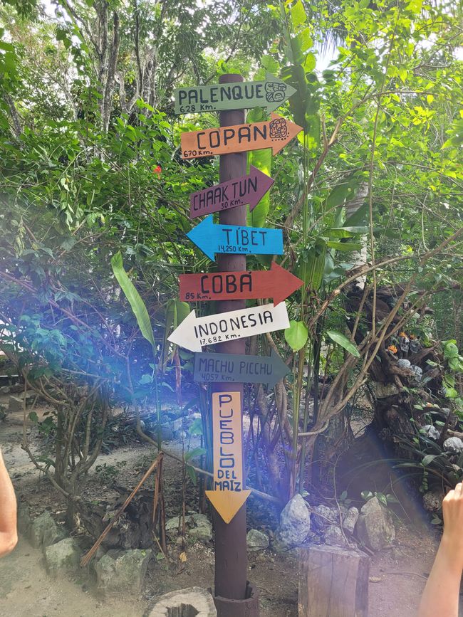 Día 29 de 175: Crucero alrededor del mundo - Cozumel/México