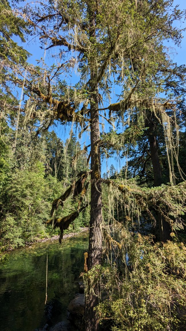 Englishman River Falls Provincial Park