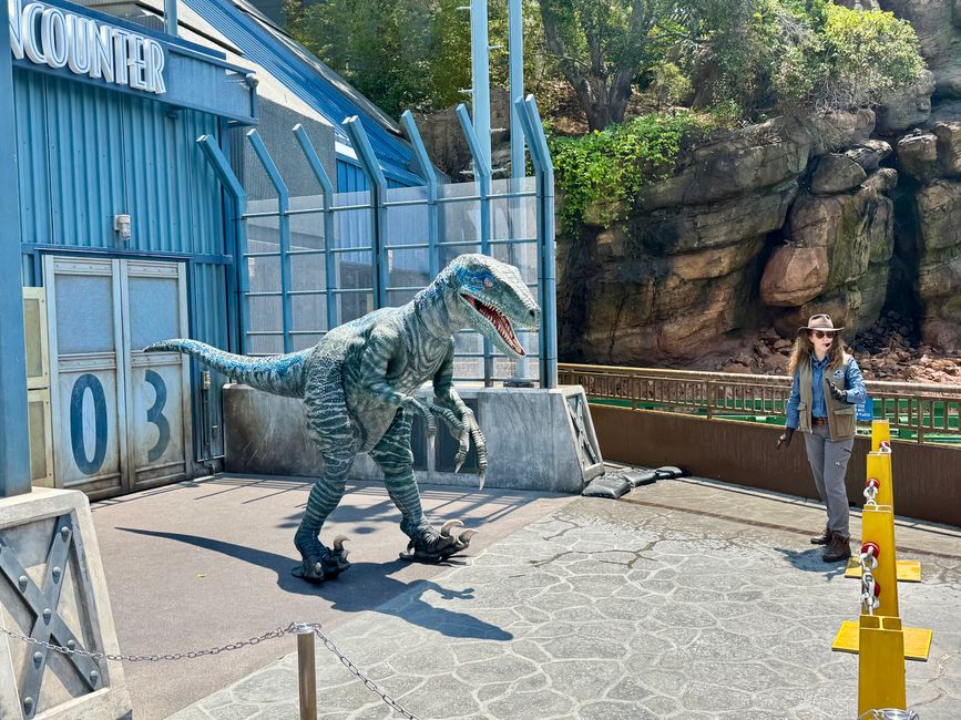 Universal Studios